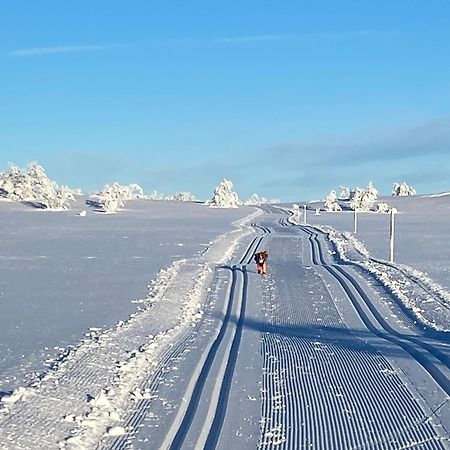 Koselig Familiehytte Pa Vakre Dagali - Naer Geilo Extérieur photo