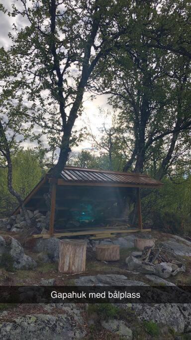 Koselig Familiehytte Pa Vakre Dagali - Naer Geilo Extérieur photo