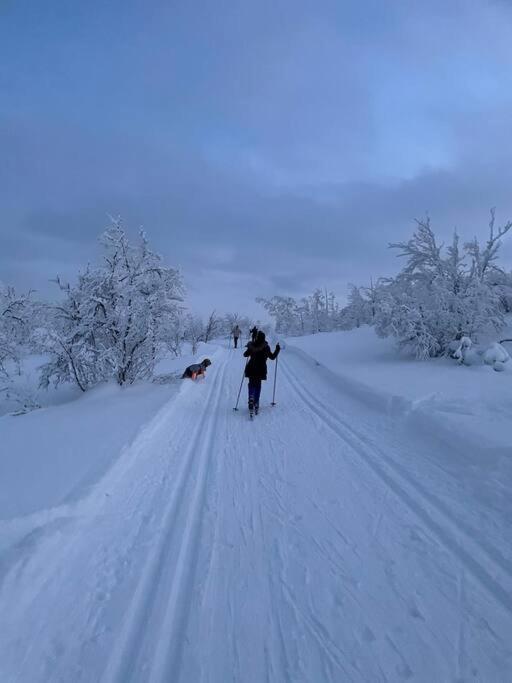 Koselig Familiehytte Pa Vakre Dagali - Naer Geilo Extérieur photo