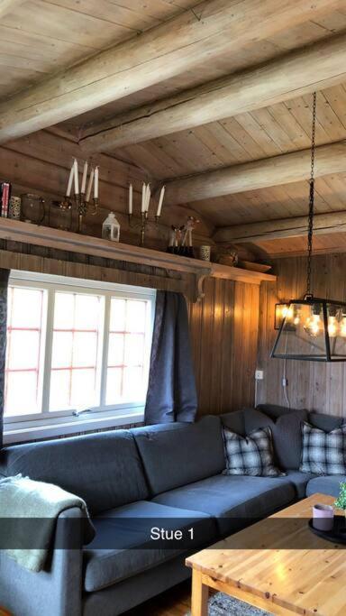Koselig Familiehytte Pa Vakre Dagali - Naer Geilo Extérieur photo
