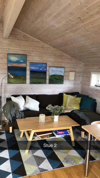 Koselig Familiehytte Pa Vakre Dagali - Naer Geilo Extérieur photo