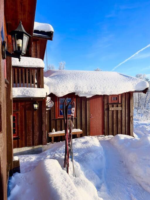 Koselig Familiehytte Pa Vakre Dagali - Naer Geilo Extérieur photo
